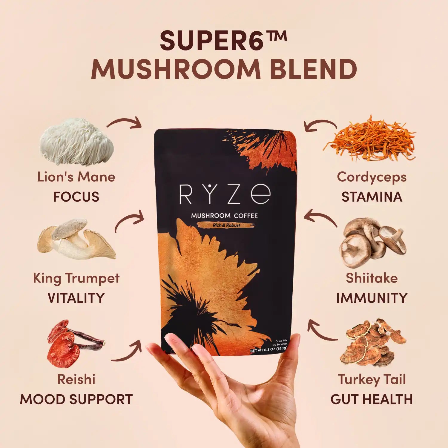 Dark Roast Starter Kit 44 l6 31