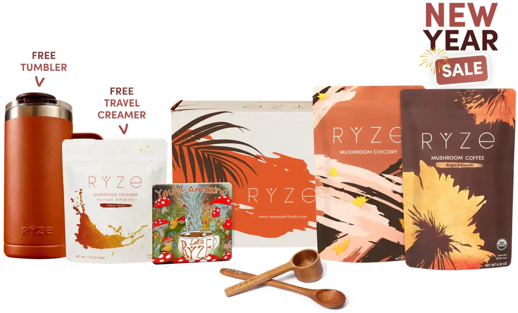 Lasting Energy Bundle 05 55 4y