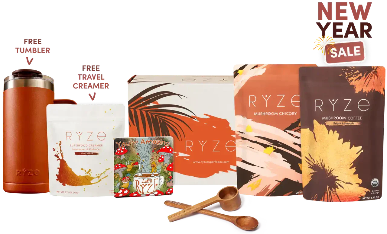 Lasting Energy Bundle 05 55 4y